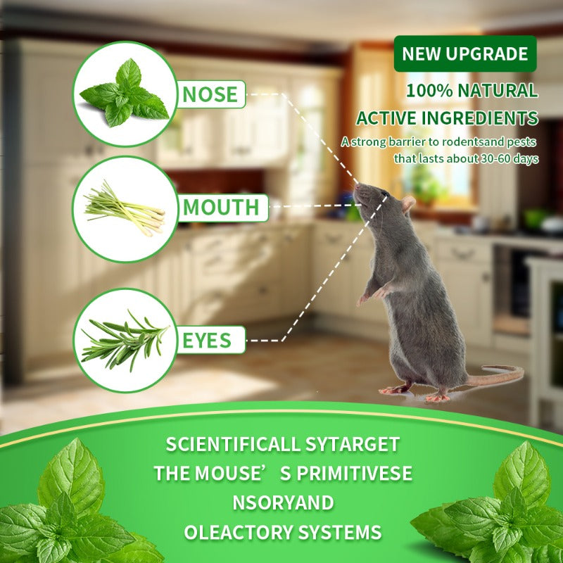 🥳2026 HOT SALE🥳  50% OFF!  🚫 Stop Mice Before They Move In  🌿Natural Peppermint Mouse Repellent