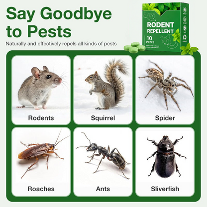 🥳2026 HOT SALE🥳  50% OFF!  🚫 Stop Mice Before They Move In  🌿Natural Peppermint Mouse Repellent